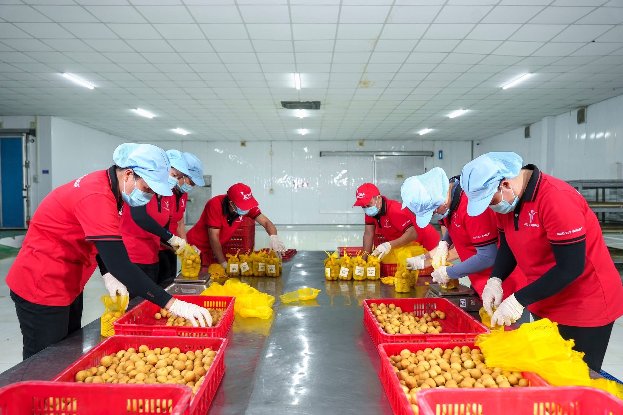 Bà nội trợ, nhà kinh doanh xoay sở trước áp lực xăng dầu