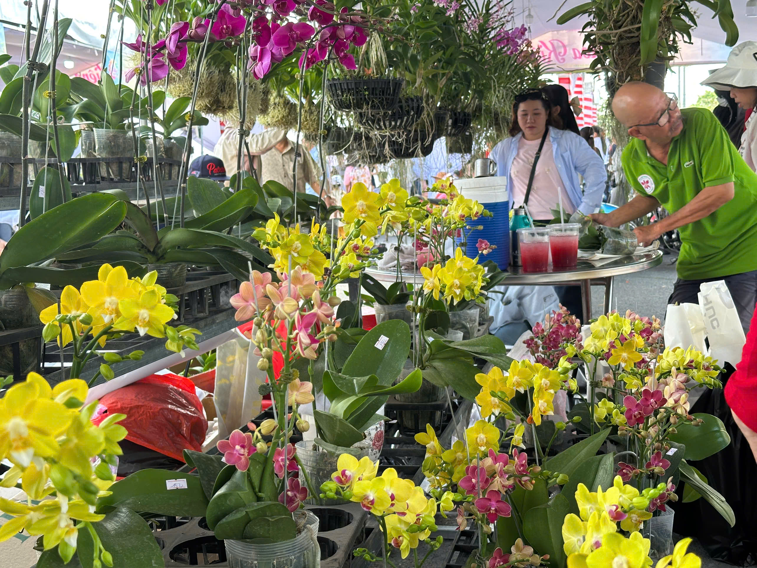 Hoa Tết đủ sắc màu đã ngập tràn khắp phố phường, chợ mạng