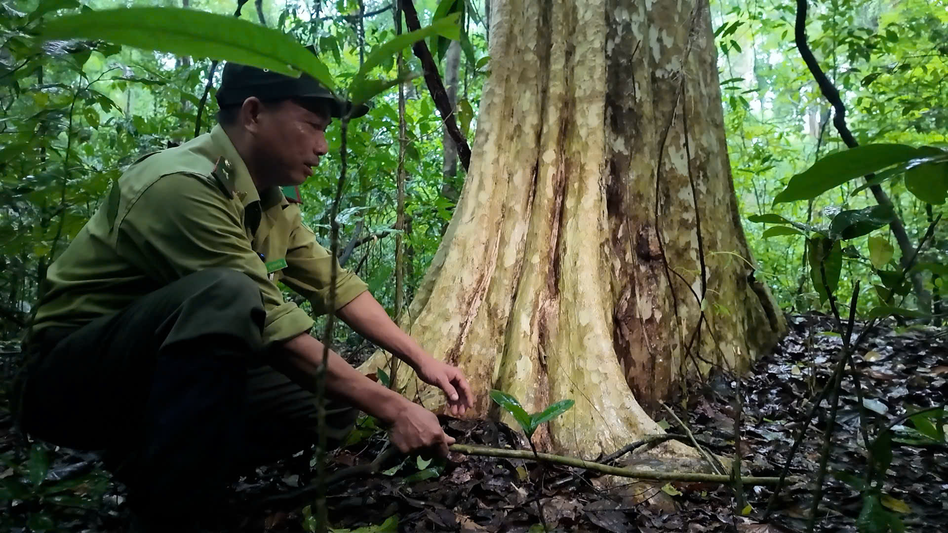 Phải làm cho người ta biết sợ, biết thương để ngăn chặn nạn săn bắn thú hoang dã