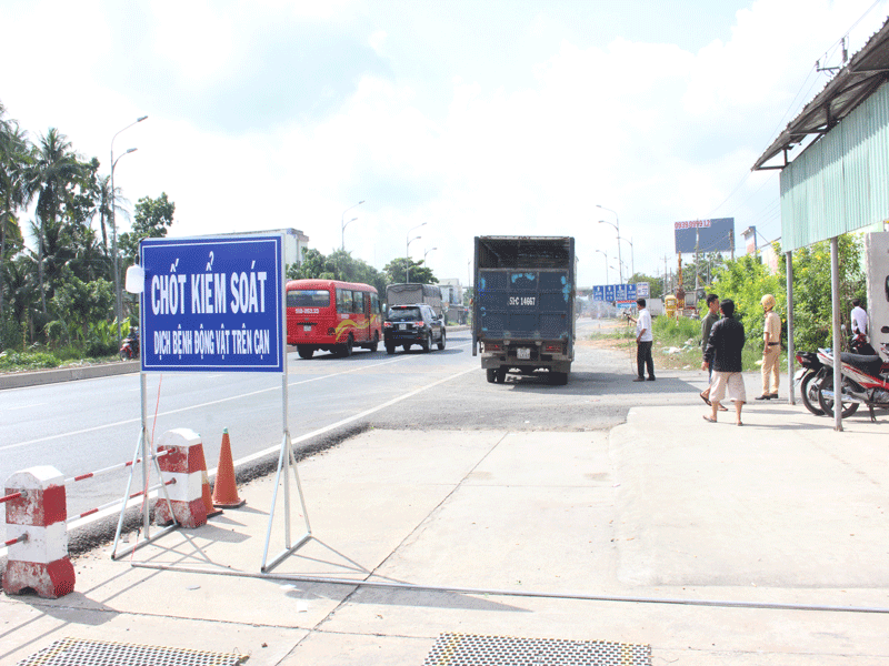 Lập chốt chặn mọi ngả ngăn dịch tả heo châu Phi vào Bến Tre