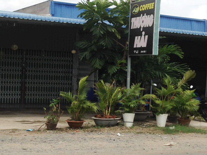 Quán cà phê bán ma túy có cảnh giới từ xa