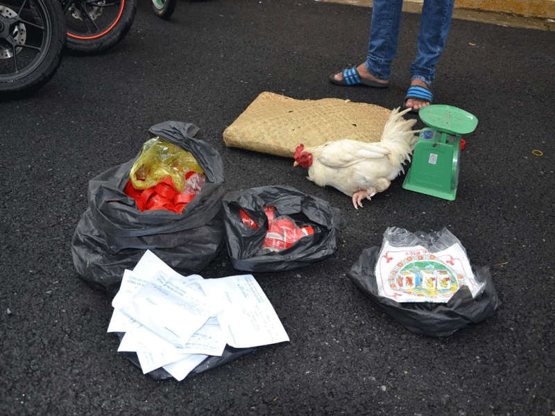 Hàng loạt trường gà tại Tiền Giang liên tiếp bị triệt phá