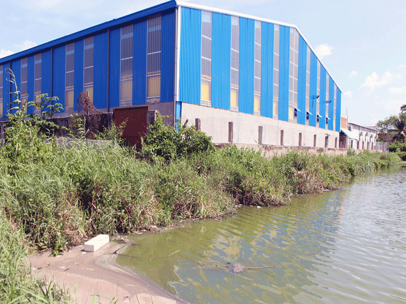 Doanh nghiệp chế biến tôm bị đình chỉ hoạt động chín tháng