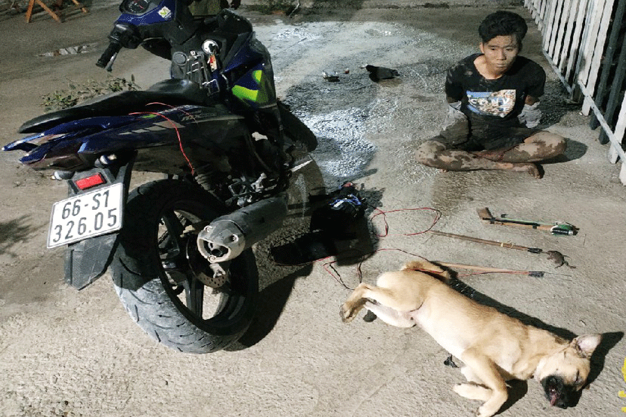 Bị truy đuổi, kẻ trộm chó dùng súng tự chế bắn lực lượng công an