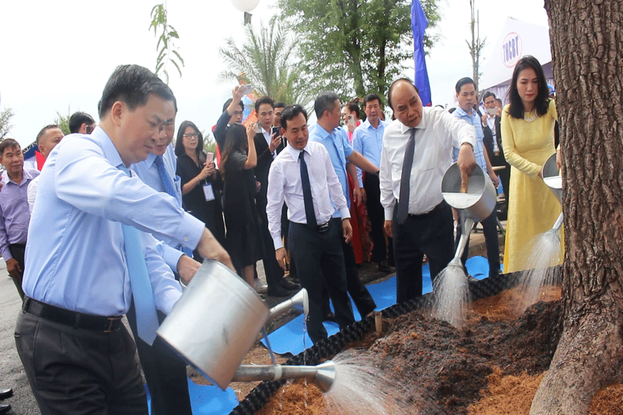 Chủ tịch nước trồng cây lưu niệm trong khuôn viên nhà máy điện gió