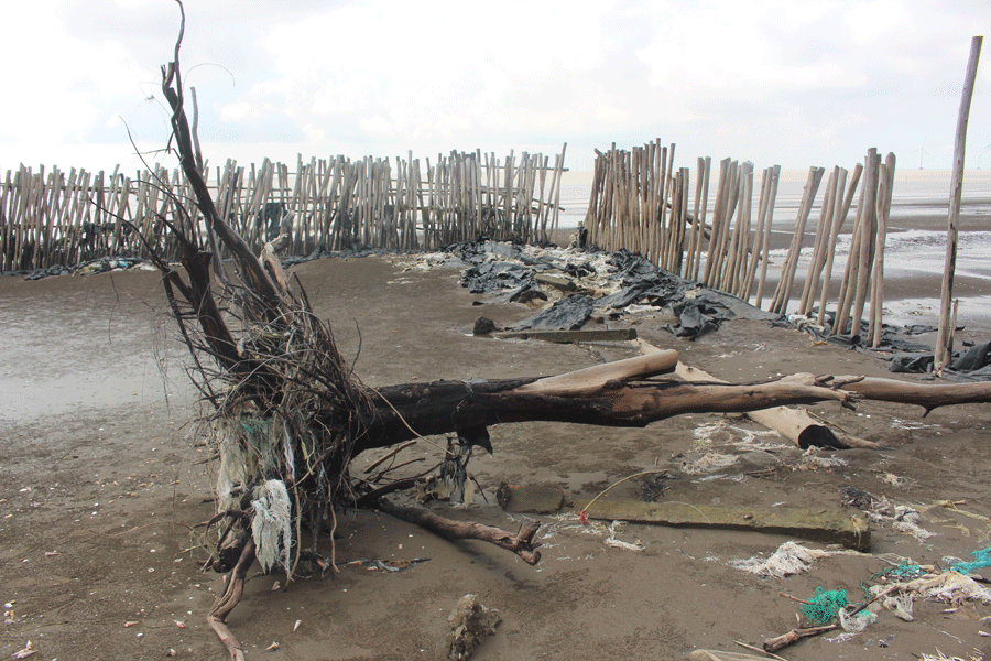 Người dân đóng cọc gia cố tạm thời ngăn sạt lở nhưng chỉ là giải pháp tạm thời. Ảnh: Đ.HÀ