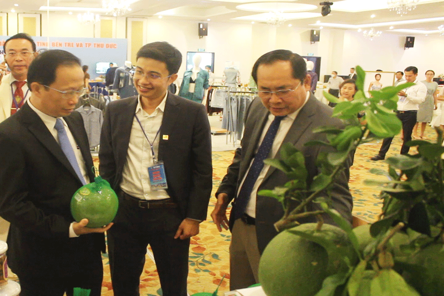 Bến Tre chuẩn bị xuất khẩu lô bưởi da xanh đầu tiên sang Hoa Kỳ