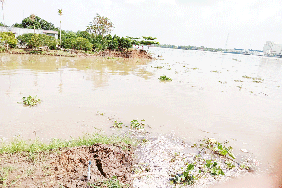 Cồn Phú Đa tiếp tục sạt lở, 70 mét đê bao và kè rọ đá trôi sông 