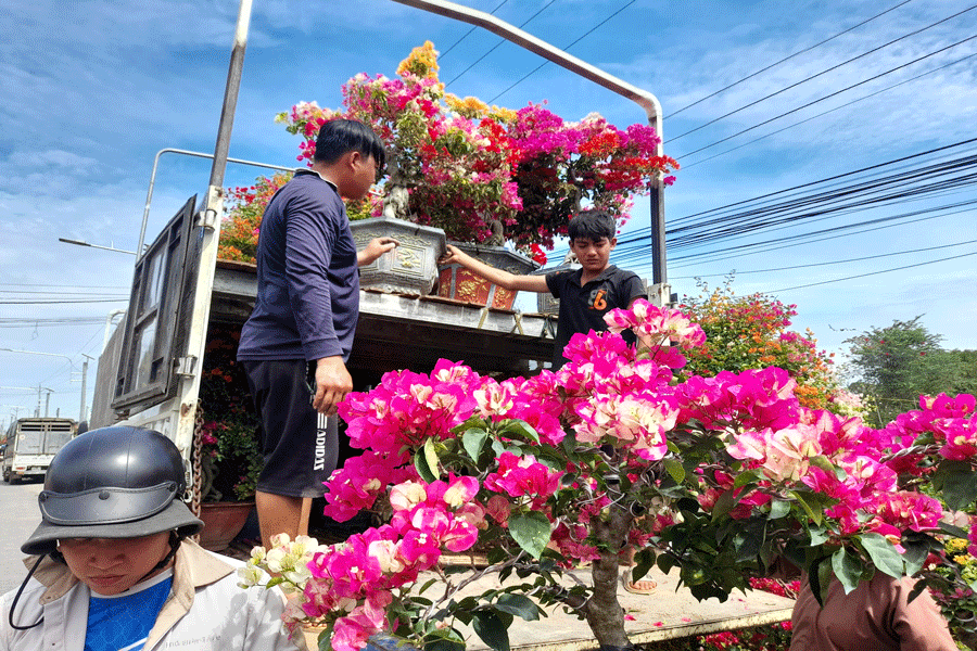 Tất bật vận chuyển hoa ra chợ Tết. Ảnh: Đ.HÀ