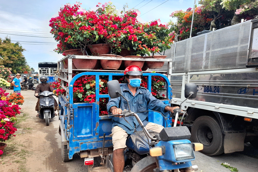 Thương lái mua hoa bắt đầu nhộn nhịp. Ảnh: Đ.HÀ