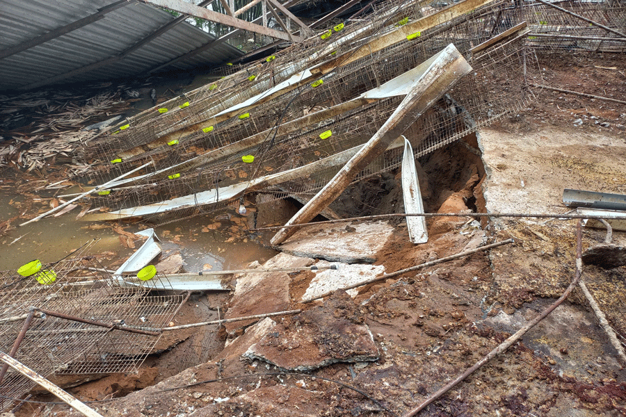 Trang trại gà bị sạt lở. Ảnh: CTV