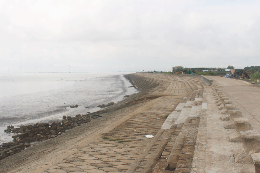 Bến Tre đề xuất làm đường ven biển hơn 7.900 tỉ kết nối với Trà Vinh, Tiền Giang