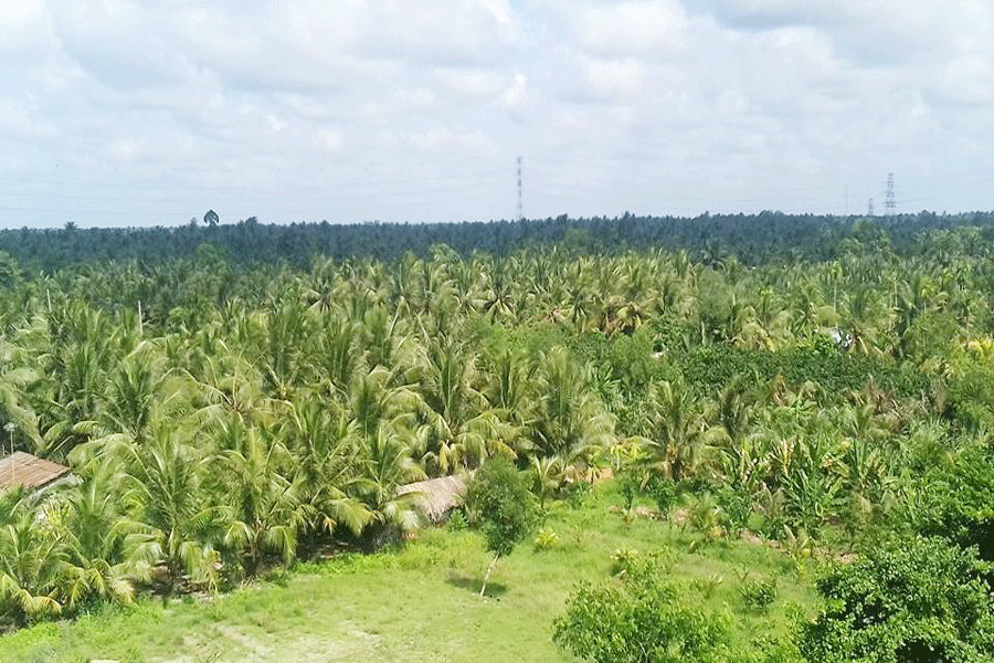 Xử lý trách nhiệm hàng loạt Chủ tịch, cựu Chủ tịch huyện sai phạm trong việc miễn, giảm tiền sử dụng đất cho người có công