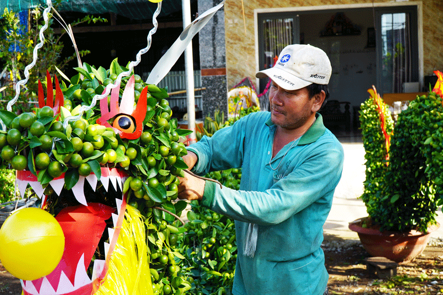 Độc đáo cặp kiểng rồng dáng uốn lượn dài 6 mét làm toàn cây tắc