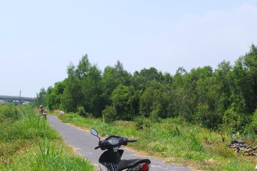 Người dân đi đốn cây, phát hiện bộ xương người trong rừng tràm ở Tiền Giang