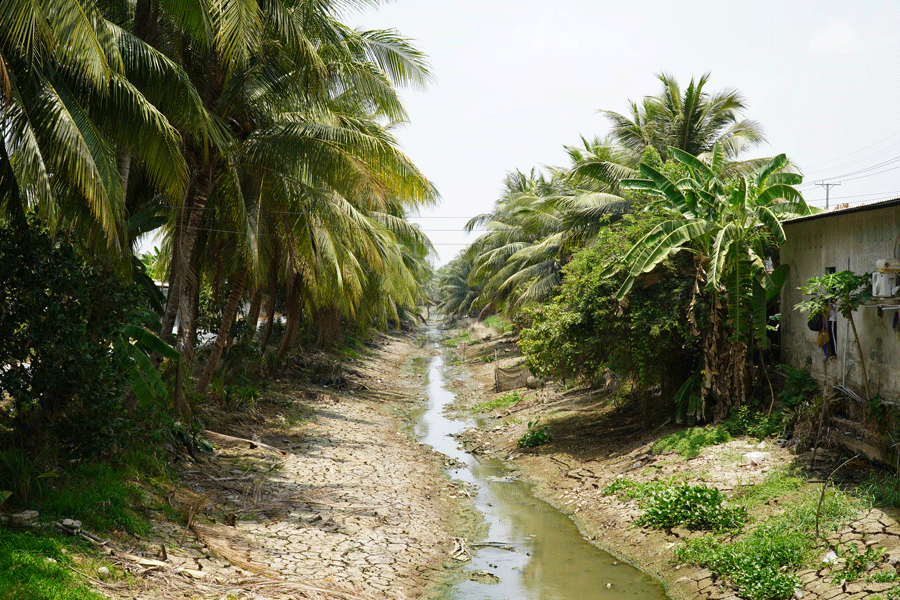 Nhiều tuyến kênh nội đồng cạn trơ đáy, nứt toác giữa mùa hạn mặn