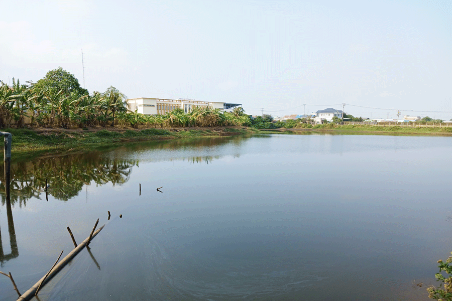 Bộ TN&MT nêu các giải pháp khắc phục thiếu nước, xâm nhập mặn cho ĐBSCL