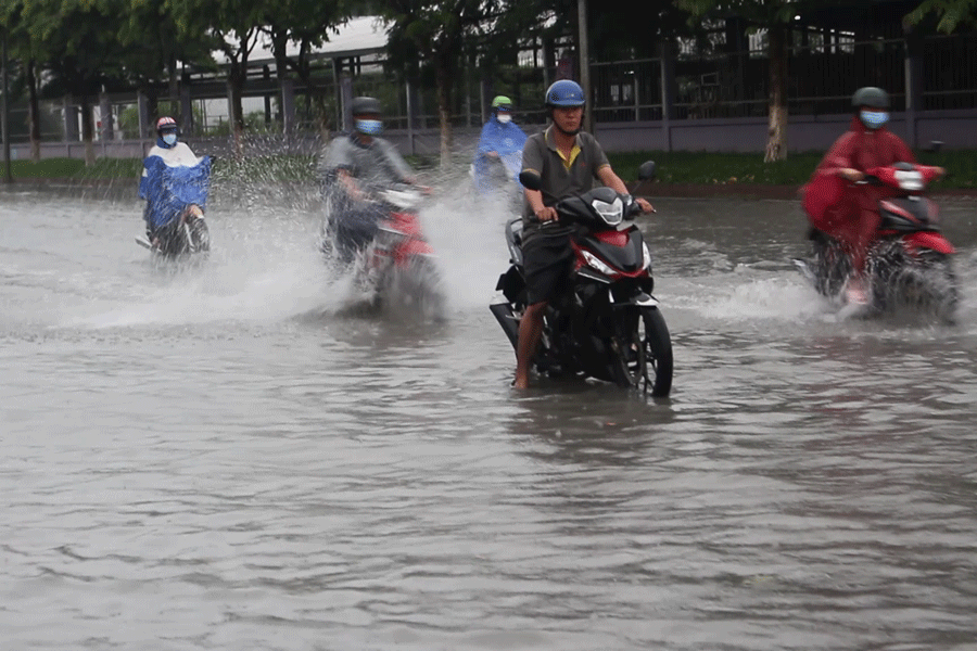 KCN-Giao-Long-ngap (1).gif