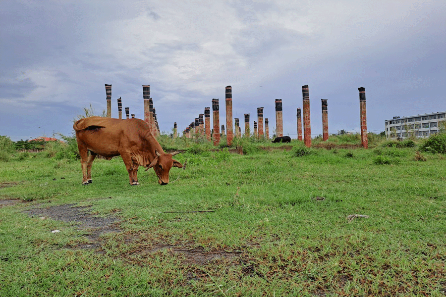 Bến Tre: Sắp tái khởi động dự án Khu nhà ở xã hội sau 8 năm bỏ hoang