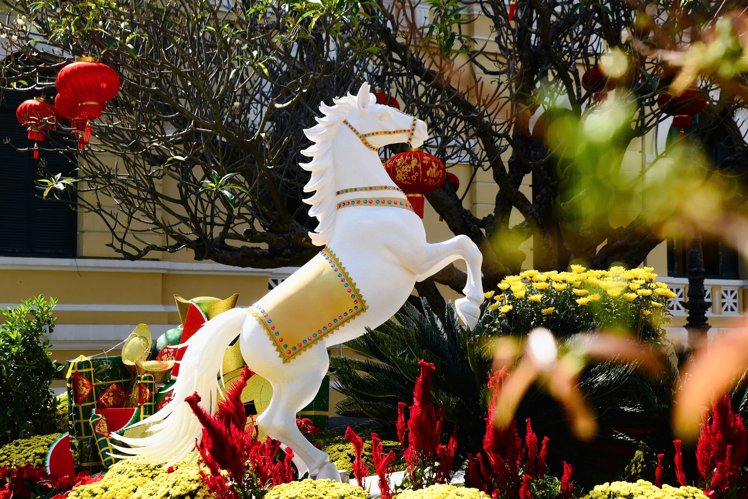 TAND TP.HCM tràn ngập sắc xuân