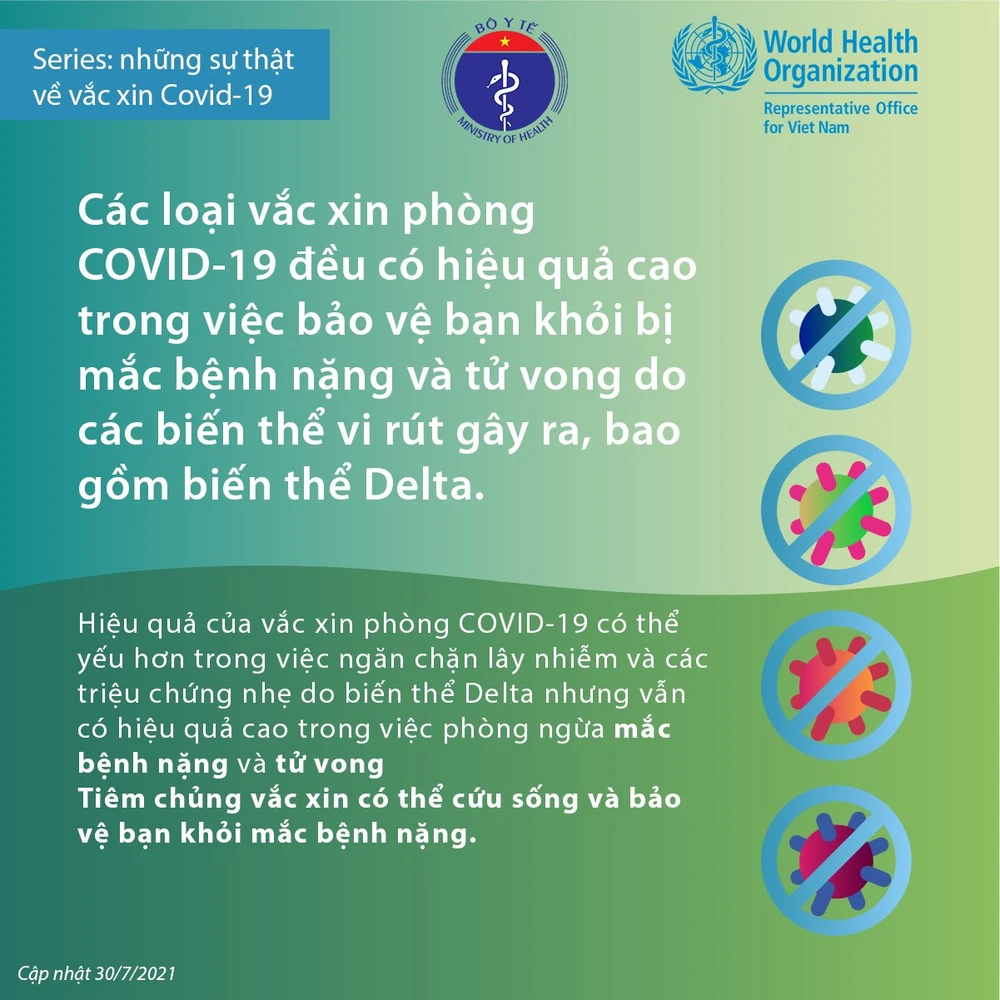 18 sự thật về vắc xin COVID-19 ảnh 3