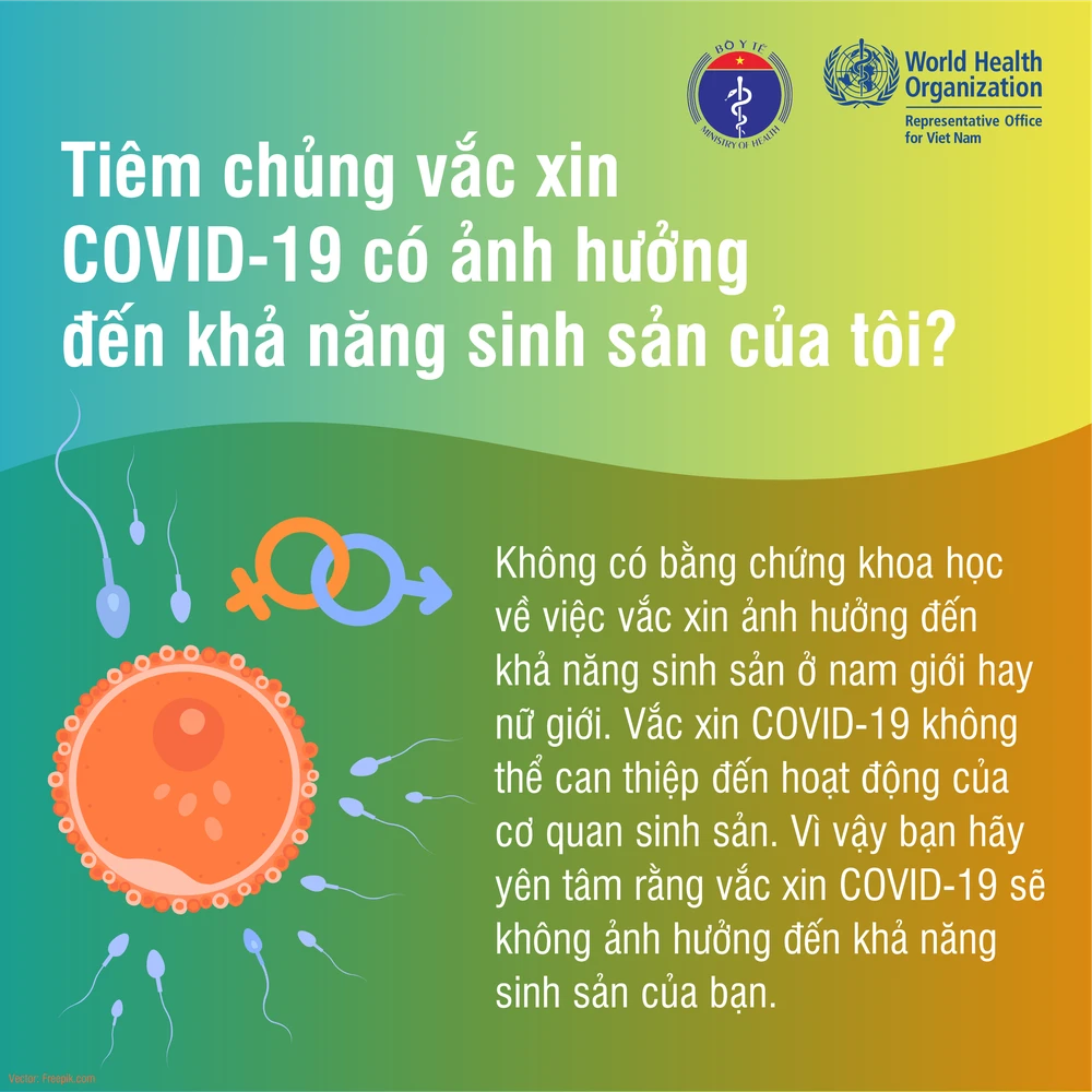 18 sự thật về vắc xin COVID-19 ảnh 4