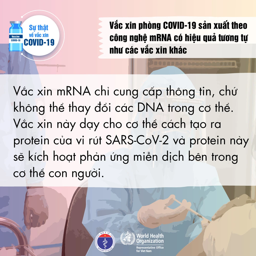 18 sự thật về vắc xin COVID-19 ảnh 9