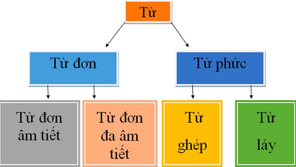 Từ ghép là gì?