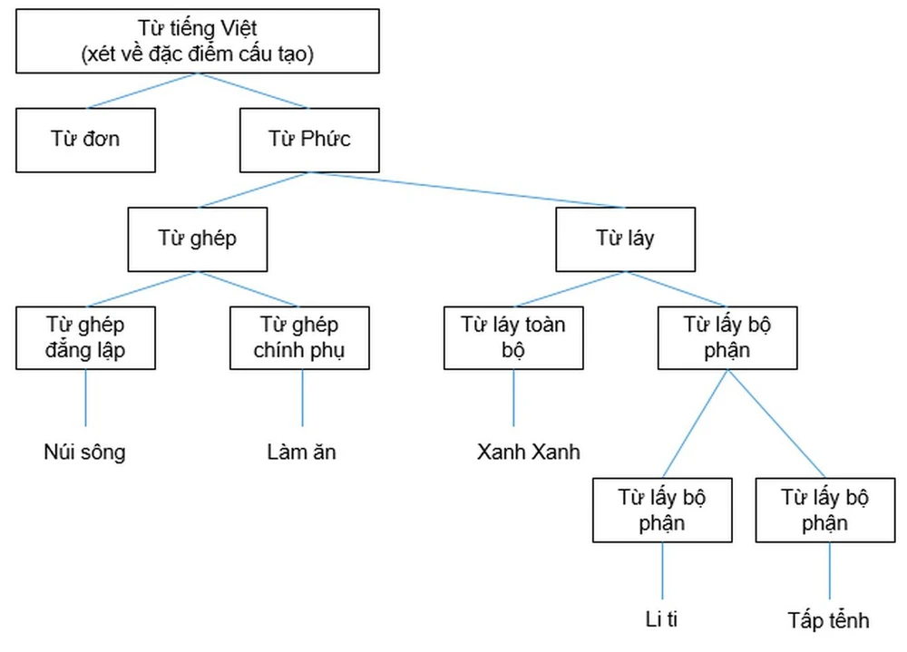 Từ ghép như thế nào - Cách phân tích và áp dụng hiệu quả