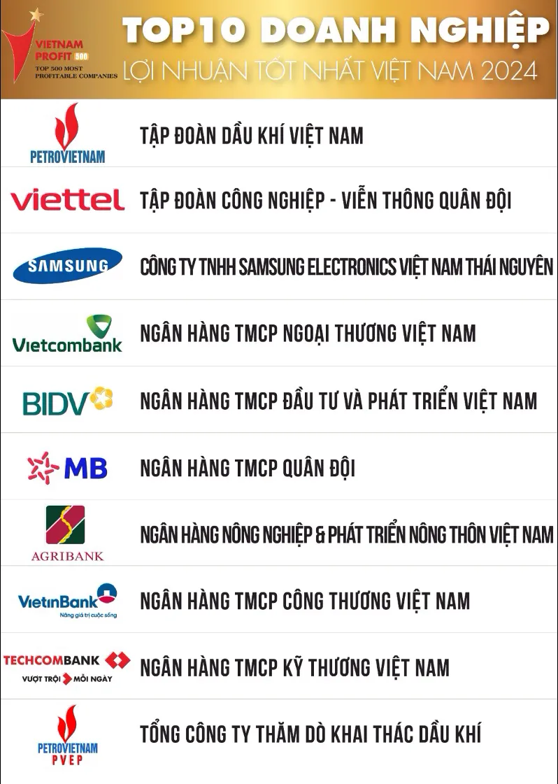 Trong top 10 doanh nghiệp lợi nhuận tốt nhất năm 2024, có tên của 6 ngân hàng. Doanh nghiệp lợi nhuận