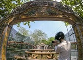 Cầu cổ và hiếm nhất Việt Nam được tháo dỡ để trùng tu