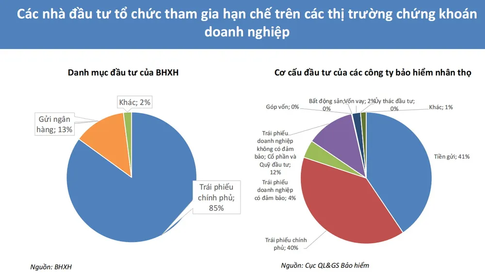 Danh mục đầu tư của BHXH và các công ty bảo hiểm nhân thọ hiện rất hạn chế Nguồn: Ngân hàng Thế giới 2908BHXH.jpg