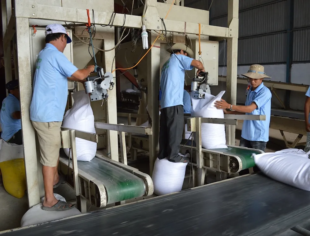 Cơ quan thuế cần hướng dẫn rõ ràng để doanh nghiệp thu mua lúa gạo nguyên liệu có thể kê khai theo đúng quy định. Ảnh: QH thu mua lúa gạo