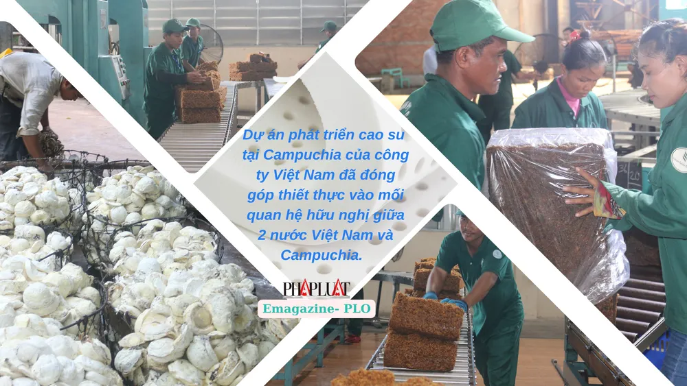 cao-su-Viet-Campuchia8.png