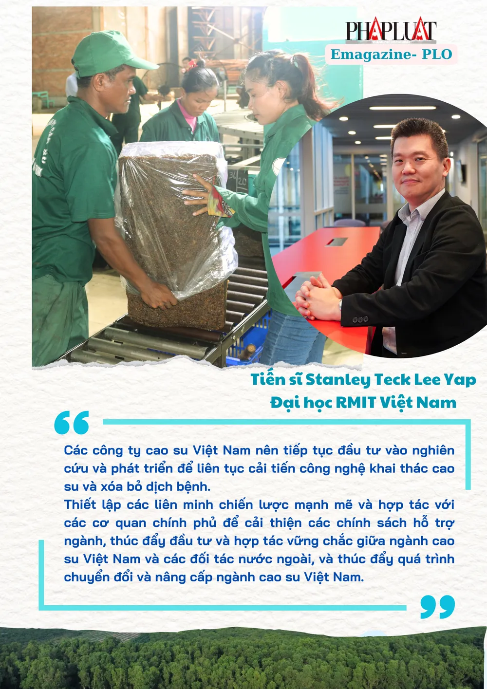 cao-su-Viet-TS-rmit.png