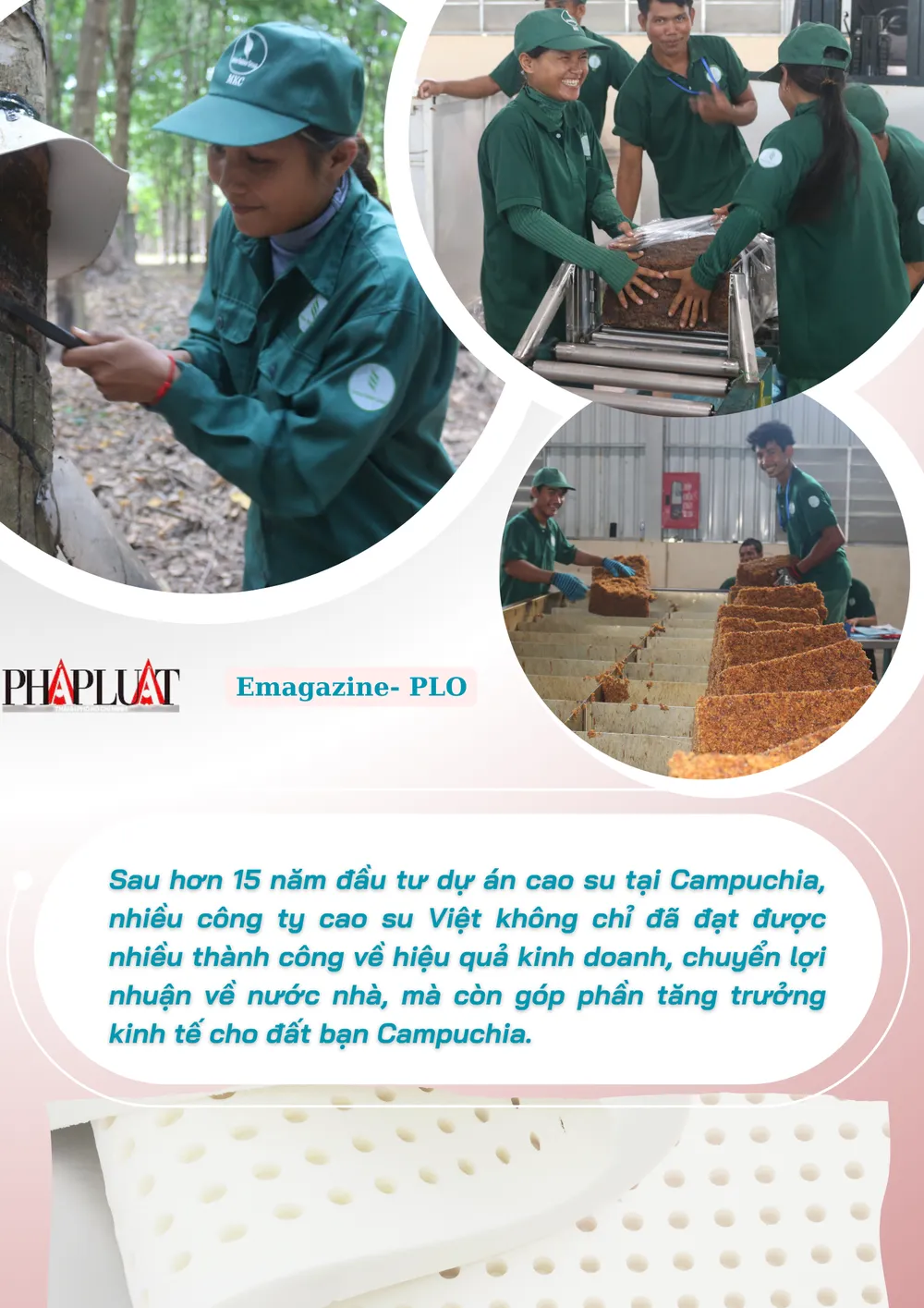 cao-su-Viet3.png