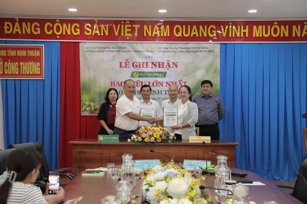 3. Sản lượng nho và diện tích trồng