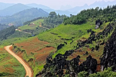 Núi đá vôi vịnh Hạ Long