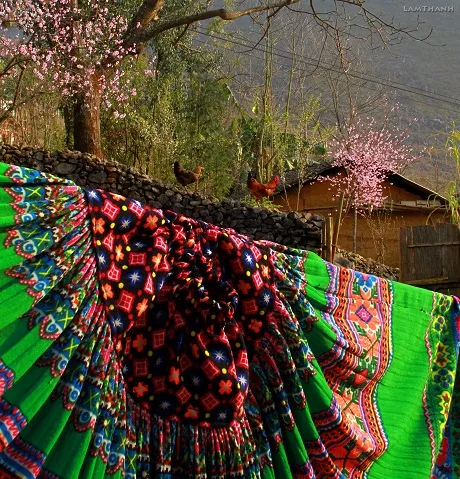 Núi rừng Hà Giang