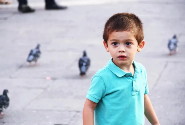 Vẻ đẹp con người giữa sắc thu châu Âu ảnh 7