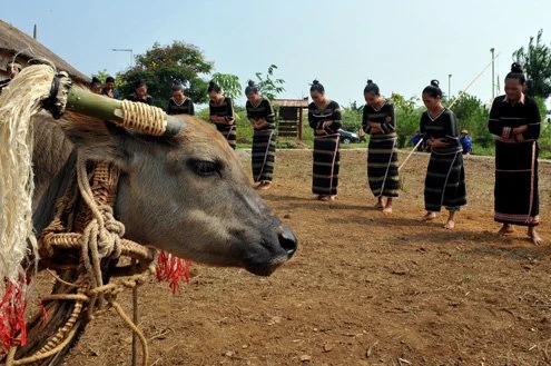 Lễ hội đâm trâu của người Tây Nguyên được tái hiện tại Llàng văn hóa các dân tộc Việt Nam (Sơn Tây, Hà Nội). Ảnh: Hoàng Hà damtrau-7748-1382326691.jpg