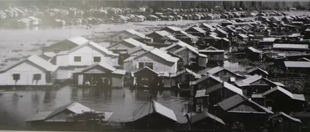 Làng bè ở Châu Đốc - Tác giả Tô Hoàng Vũ