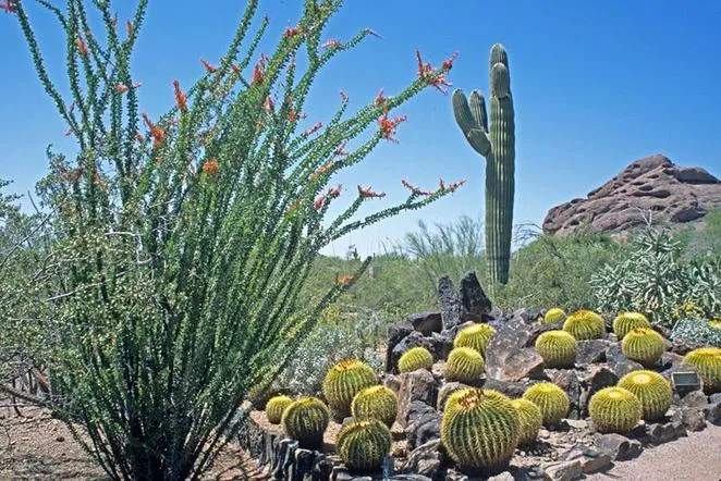 10 khu vườn đẹp nhất thế giới ảnh 6