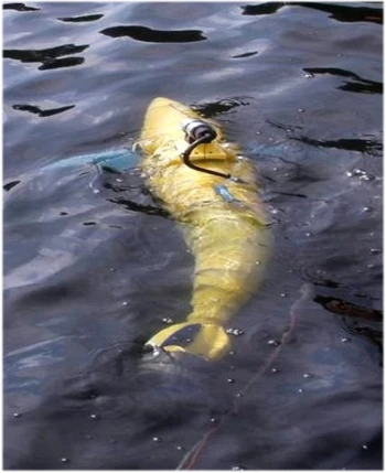 RobotBIOSwimmer được các nhà khoa họcMỹ thiết kế và đưa vào sử dụng để hỗ trợ kiểm tra cáctàu thuyền trên biển. Thiết kế loại robot này được lấy cảm hứng từ cá ngừ, có thể luồn lách vào các không gian lớn và duy trì vị trí ngay cả khi con tàu chuyển động nhanh.Ảnh:Boston Engineering Untitled-2-3545-1392179310.jpg