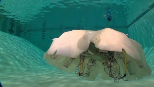 Cyro là một loại robot thăm dòdưới nước. Robot được lấy cảm hứng thiết kế từ loài sứa và có kích thước khoảng 1,5 m. Giống nhưBIOSwimmer, robot Cyro không cần dây kết nối trên mặt nướcmà hoạt động hoàn toàn độc lập dưới nước.Ảnh: CNN medusa-robot-4588-1392179310.jpg