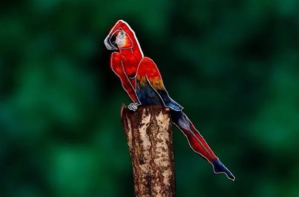 parrot-optical-illusion-body-art-johannes-stoetter-2 Độc đáo nghệ sĩ biến người thành vẹt ảnh 2