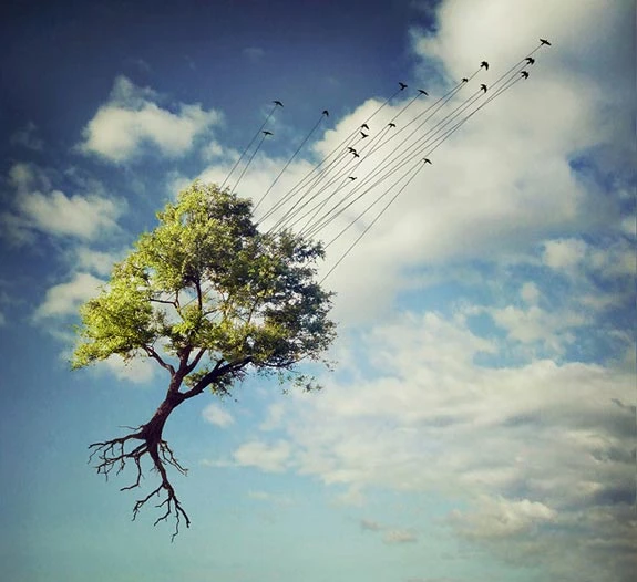 Bộ ảnh đầy tâm trạng của nữ nhiếp ảnh gia trẻ tuổi ảnh 5