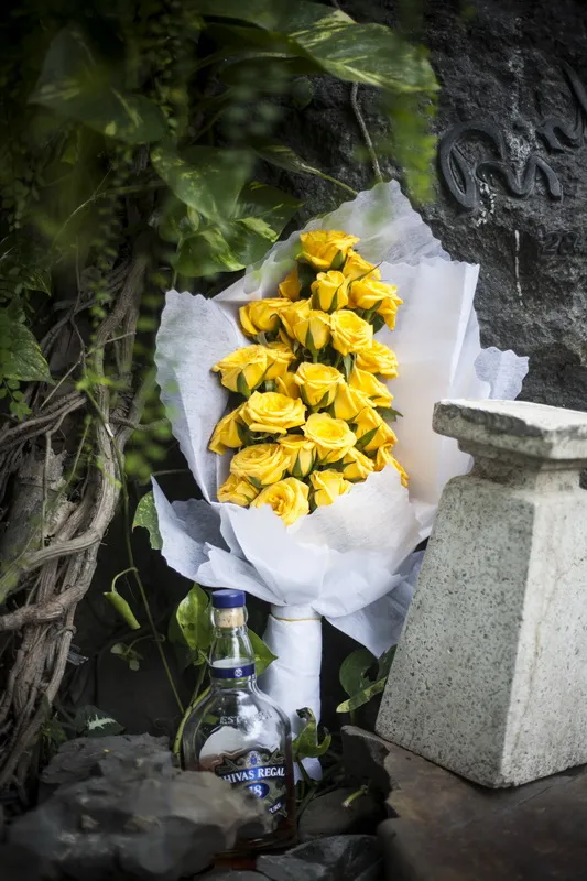 Chùm ảnh ca sĩ Khánh Ly viếng mộ Trịnh Công Sơn ảnh 11