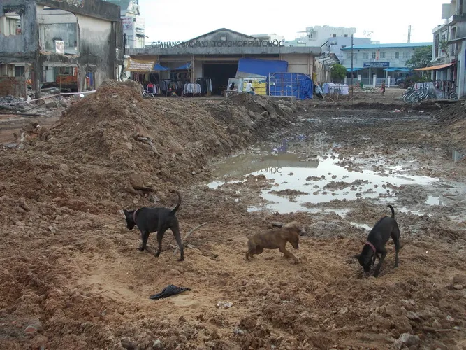 Phú Quốc sẽ thành thiên đường du lịch nghỉ dưỡng ảnh 10