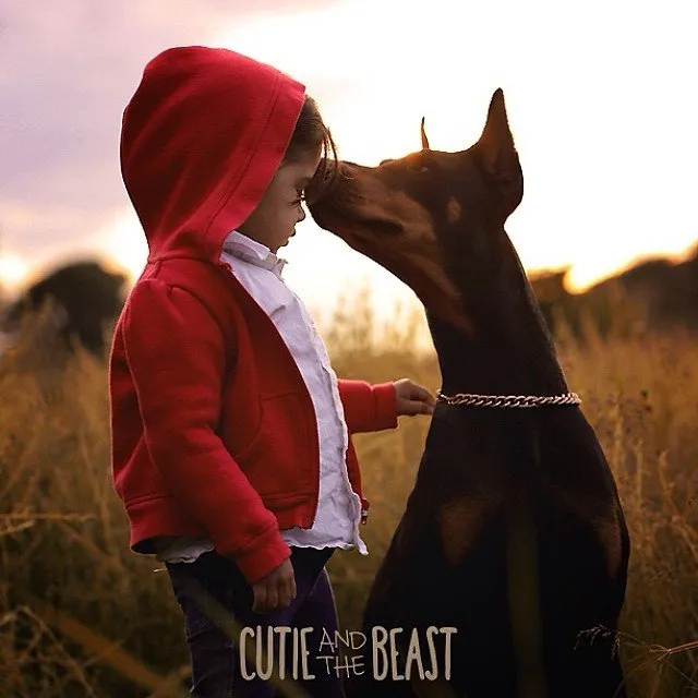 Bộ ảnh gây sốt về cô bé Sienna và chú chó Doberman ảnh 1 Bộ ảnh gây sốt về cô bé Sienna và chú chó Doberman ảnh 1